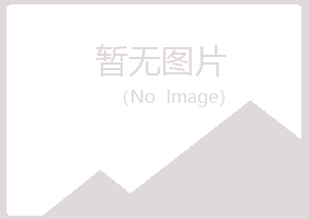 四平夏日化学有限公司